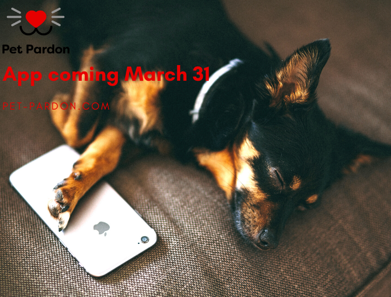 Pet Pardon app to launch March 31…a sneak peak…