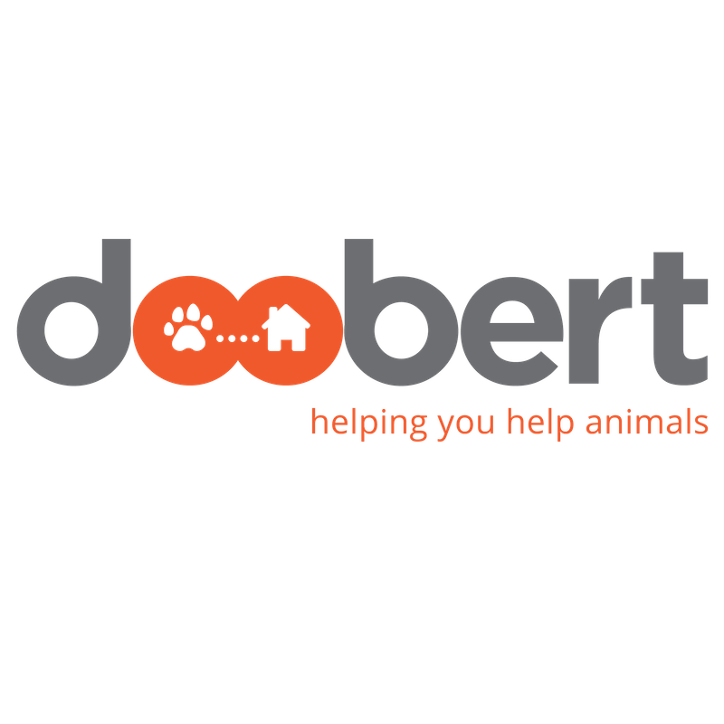 Interview with Doobert: ride-sharing for the animal rescue world